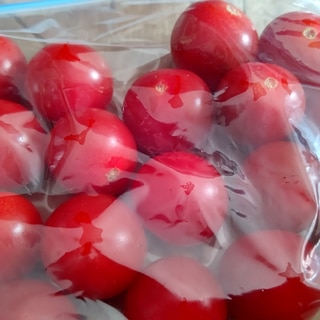 【冷凍保存】プチトマト